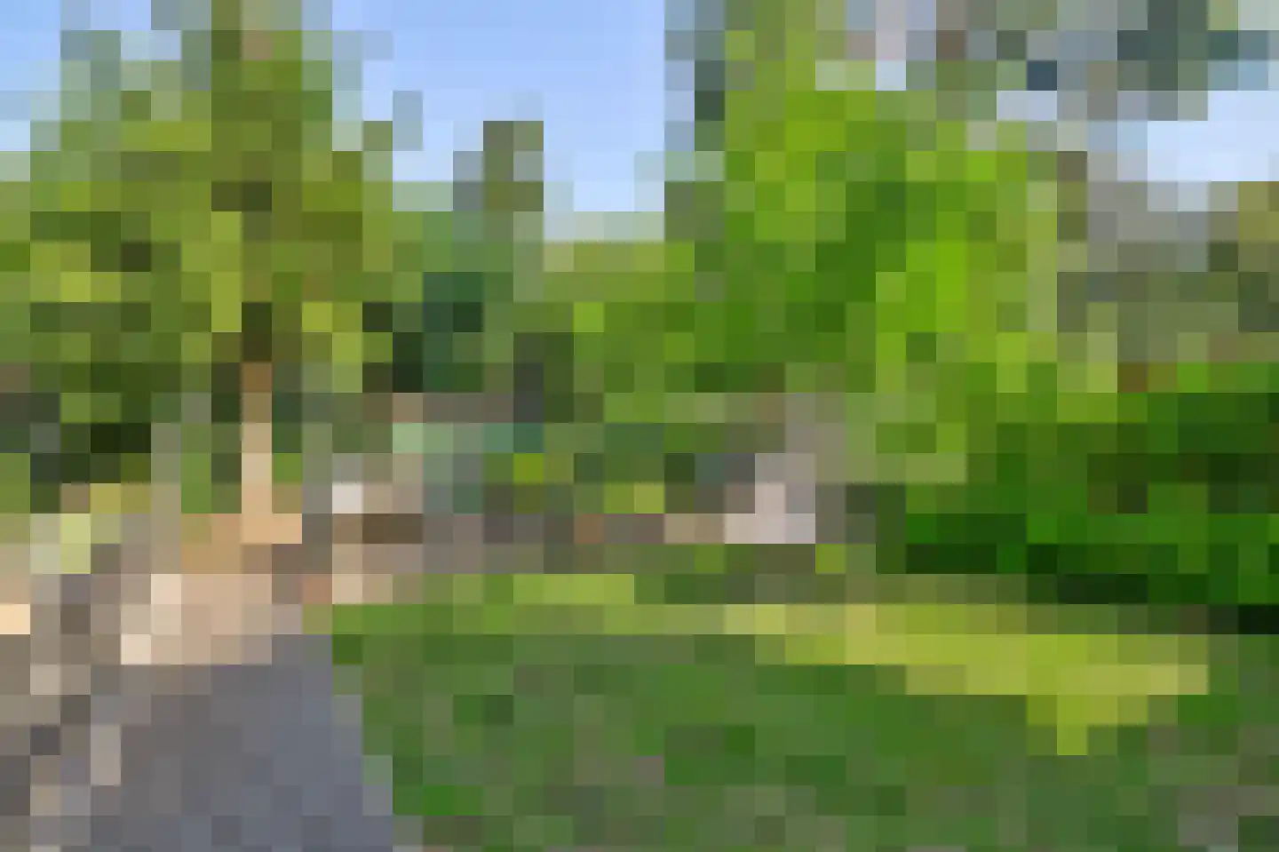 Kilweg 15 's-Gravendeel thumbnail 43