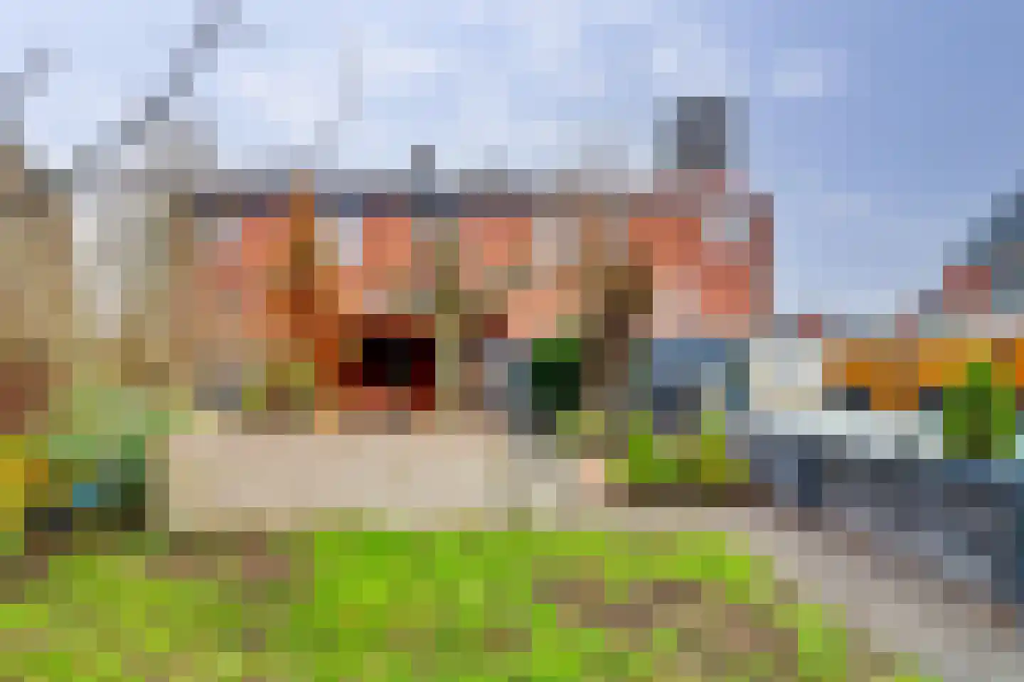 Kilweg 15 's-Gravendeel thumbnail 43