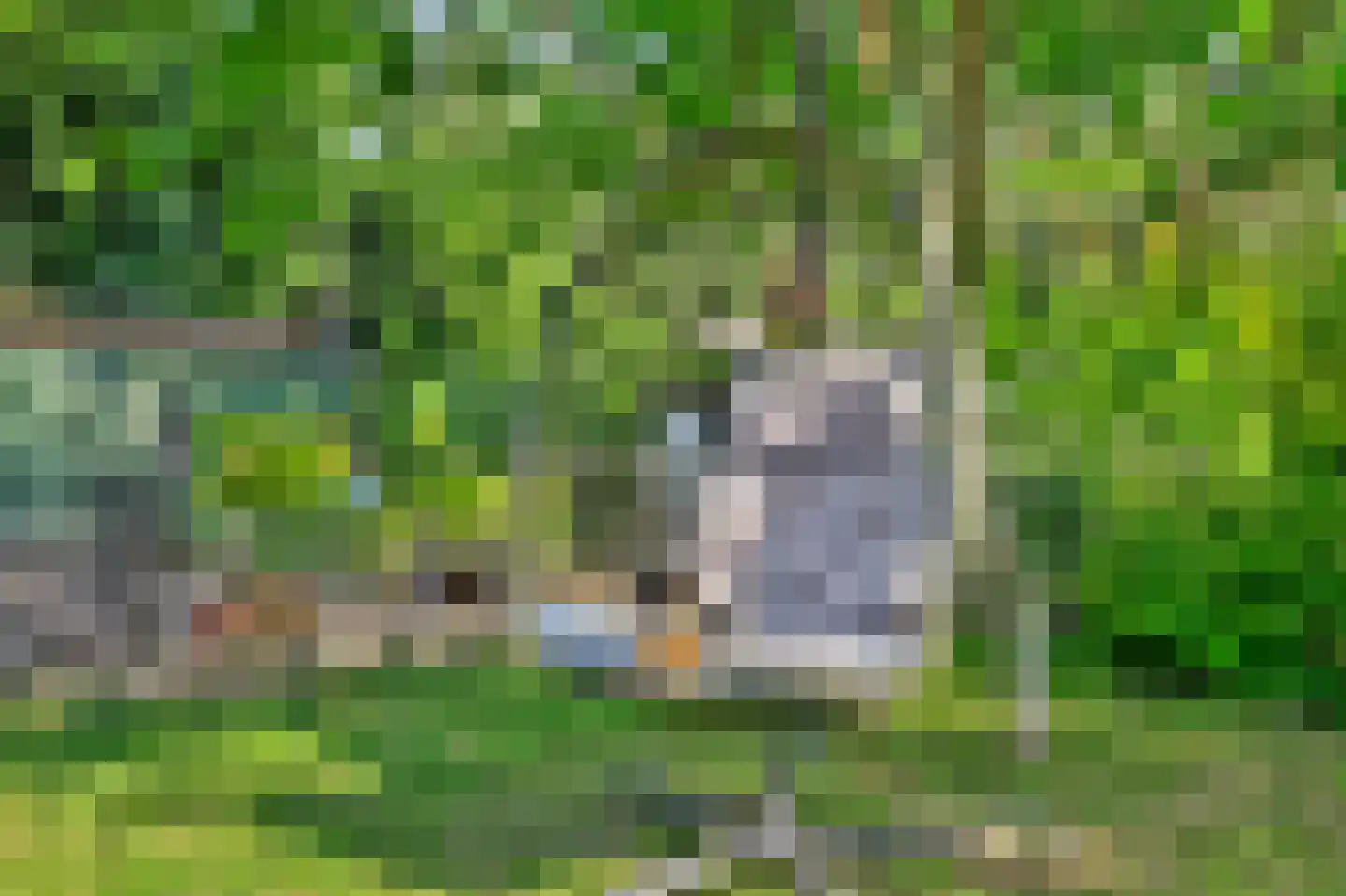 Kilweg 15 's-Gravendeel thumbnail 44