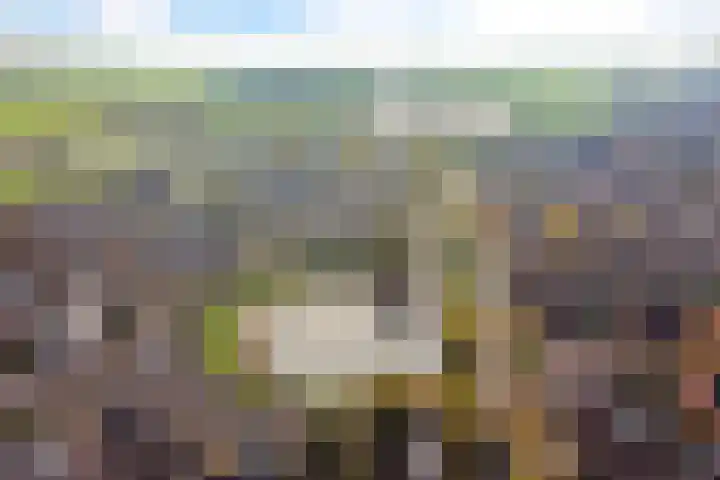 Kim 12 Baarn thumbnail 27
