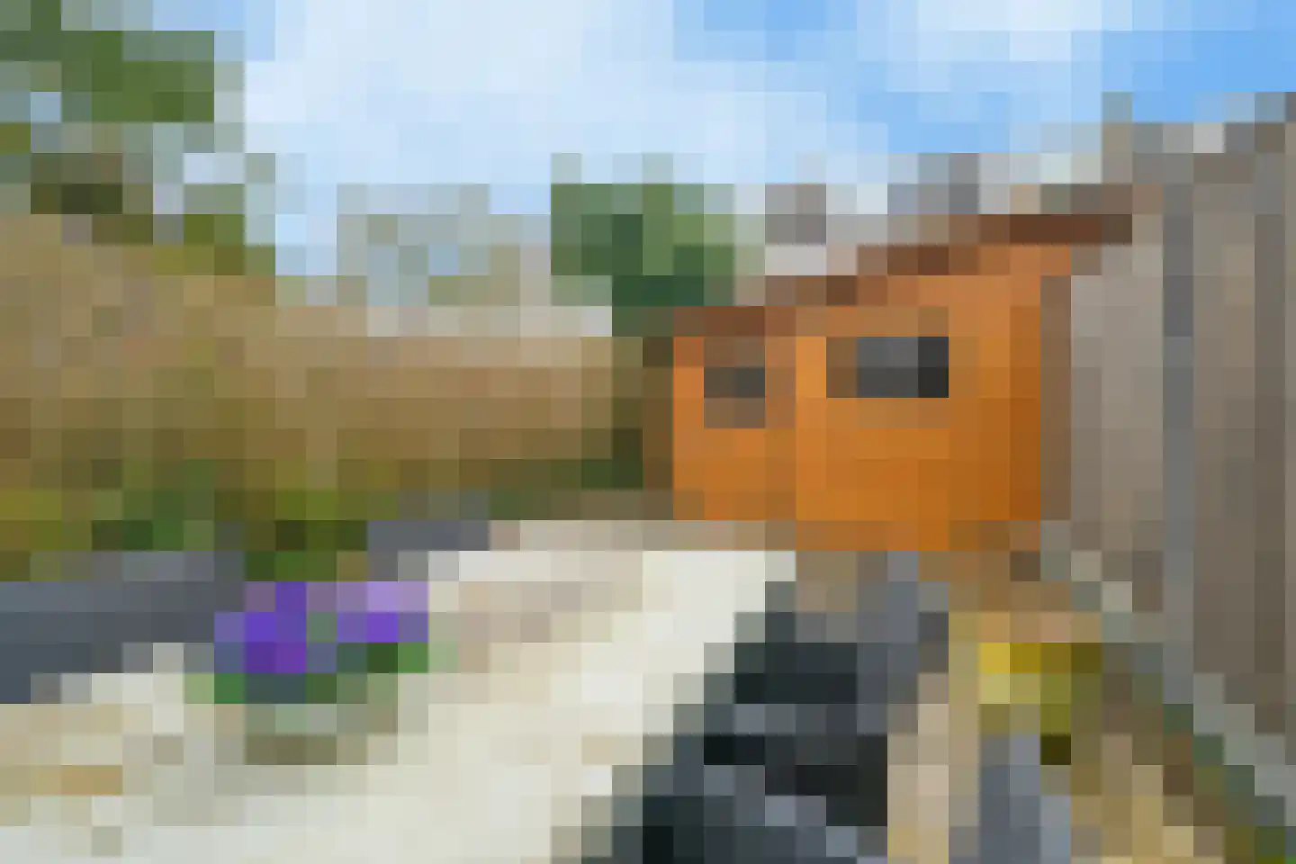 Kimbrenoord 38 Rotterdam thumbnail 25