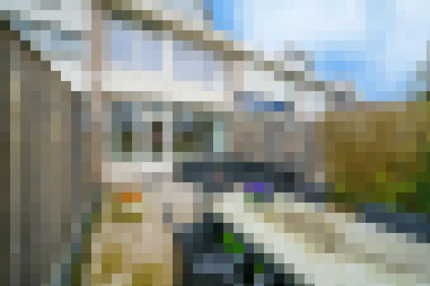 Kimbrenoord 38 Rotterdam thumbnail 4