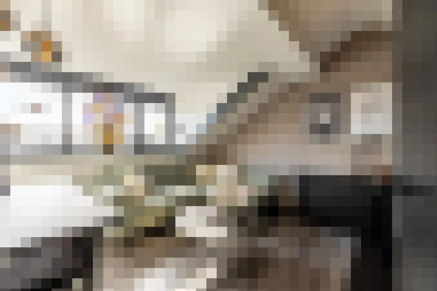 Kimonostraat 38 Purmerend thumbnail 28