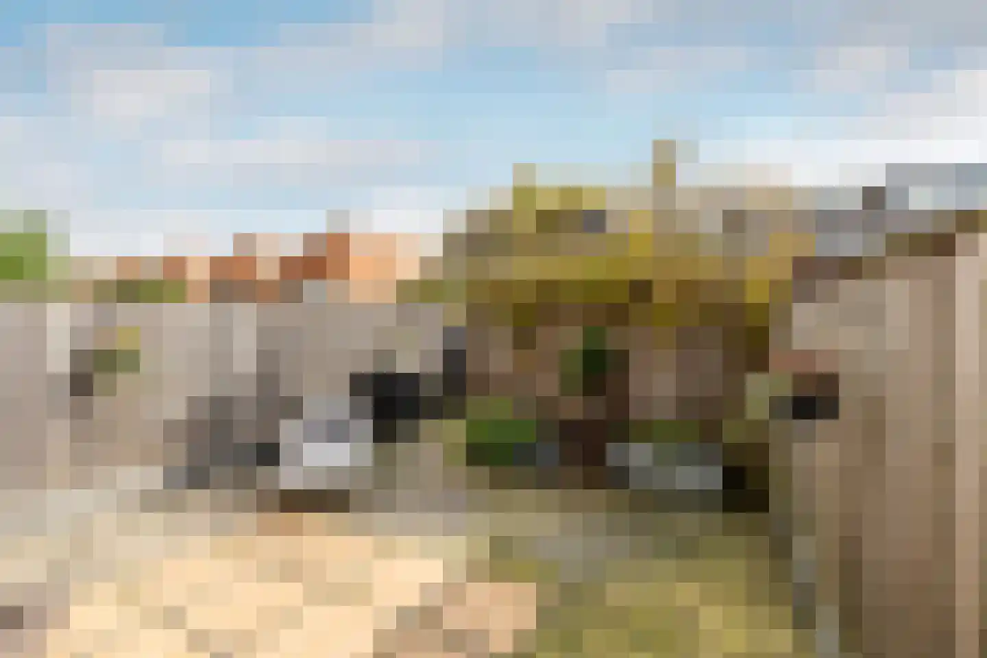 Kimonostraat 38 Purmerend thumbnail 35