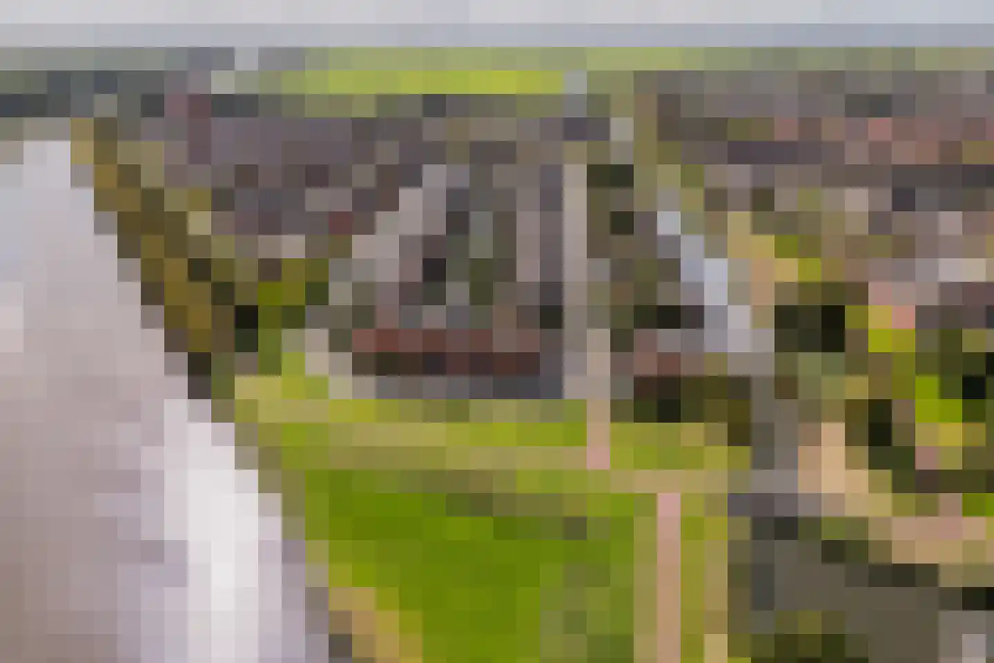 Kimonostraat 38 Purmerend thumbnail 43