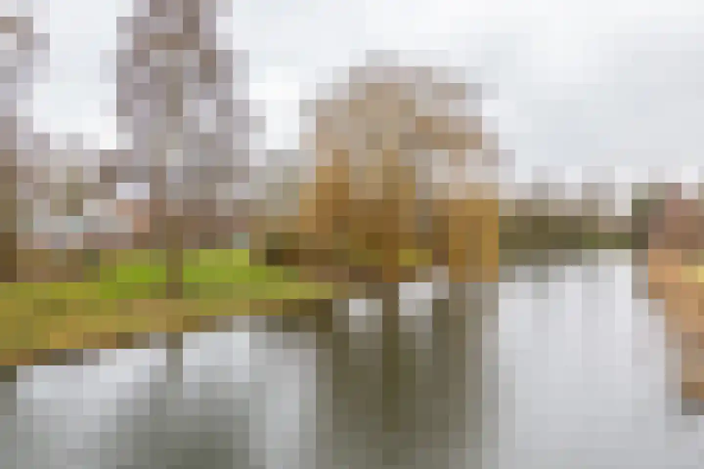 Kimwierde 222 Almere thumbnail 10