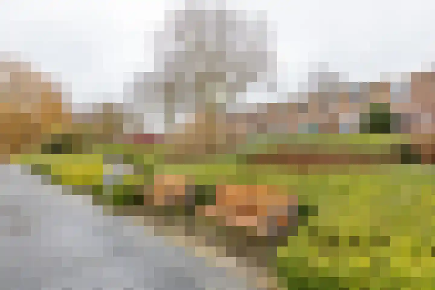 Kimwierde 222 Almere thumbnail 11