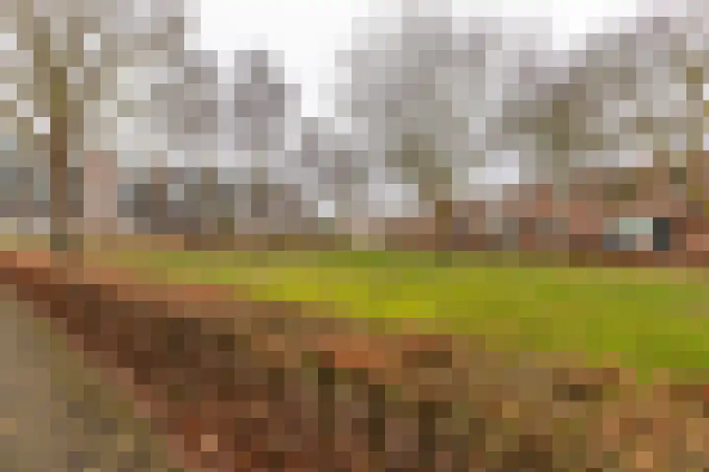 Kimwierde 222 Almere thumbnail 34