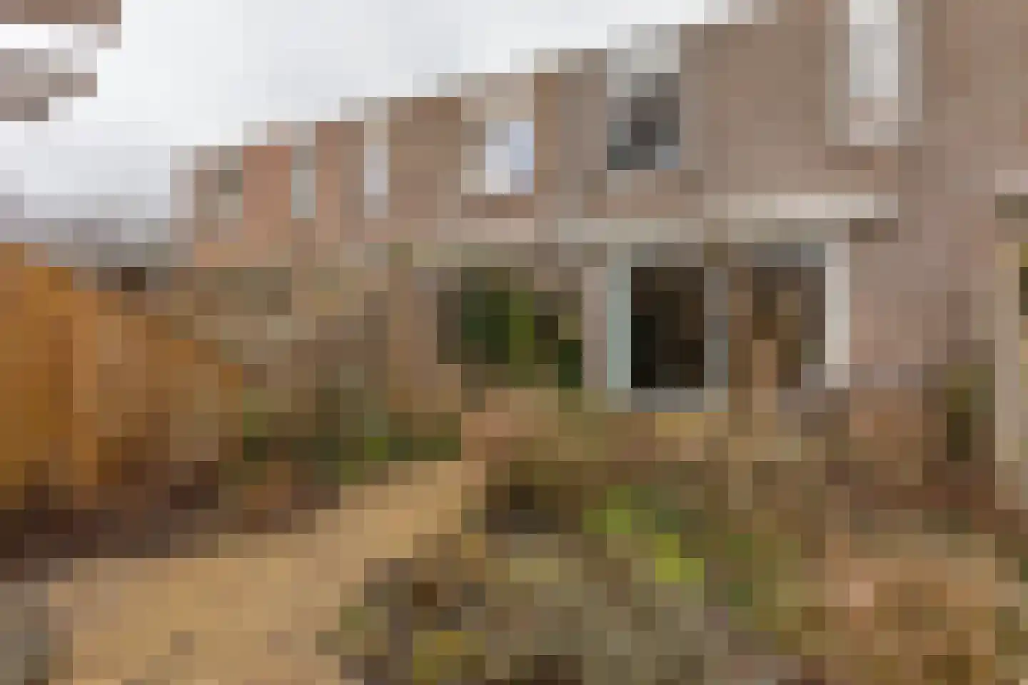 Kimwierde 222 Almere thumbnail 35