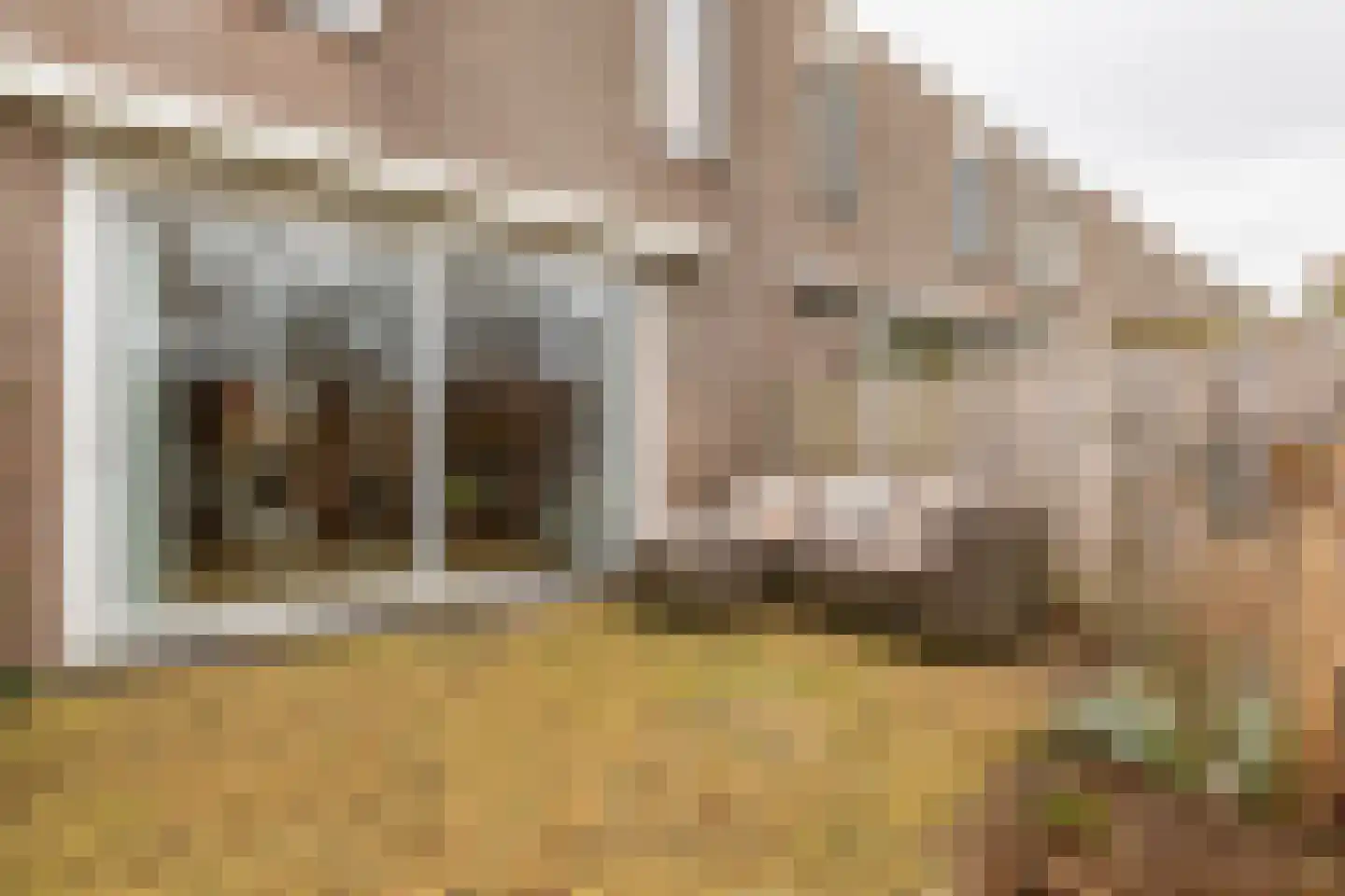 Kimwierde 222 Almere thumbnail 36