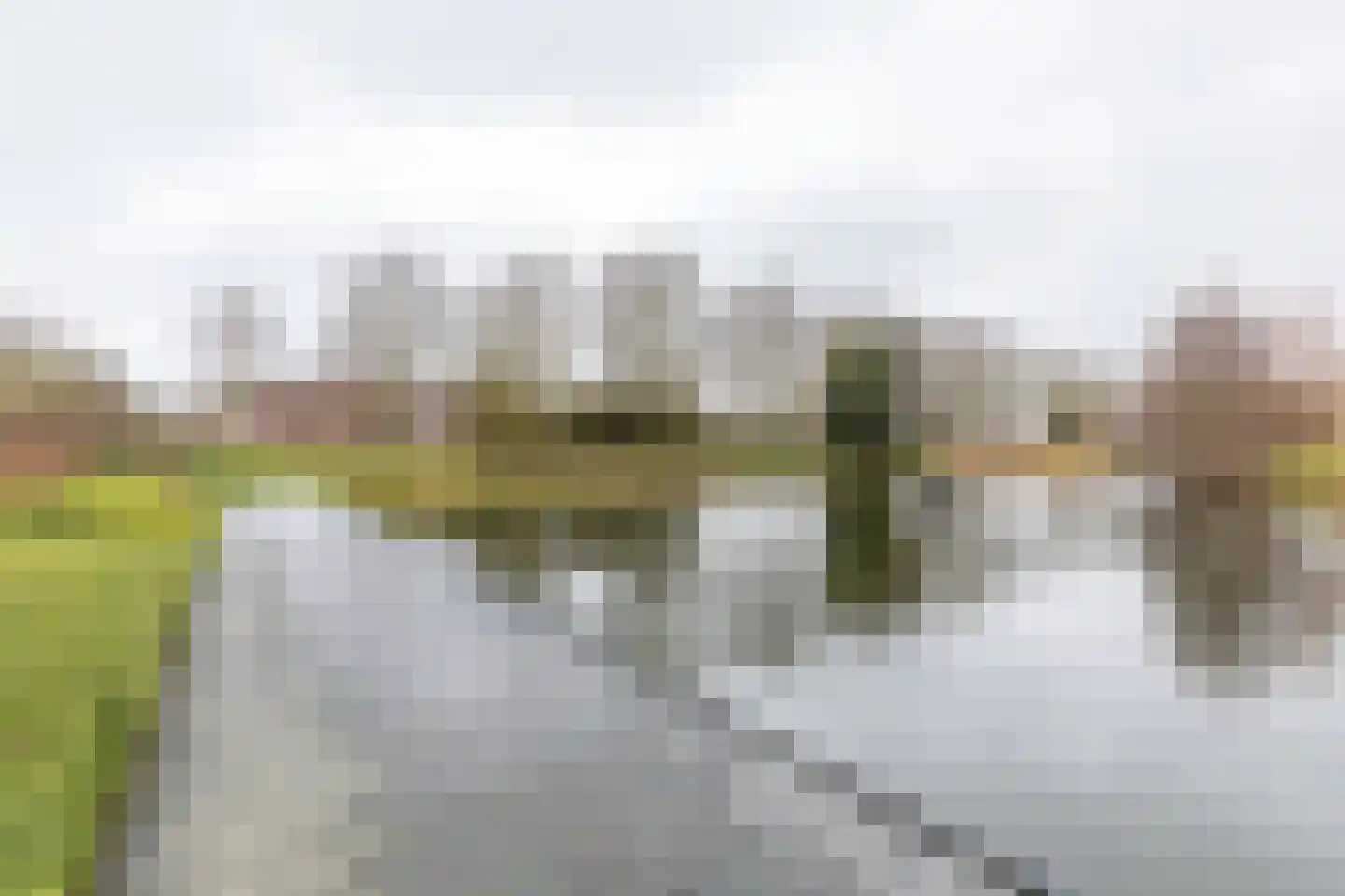Kimwierde 222 Almere thumbnail 61