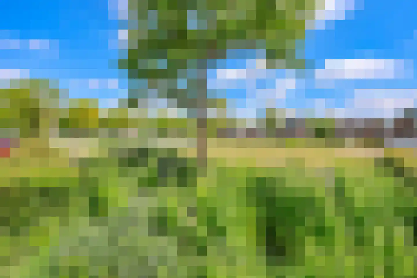 Kimwierde 288 Almere thumbnail 36