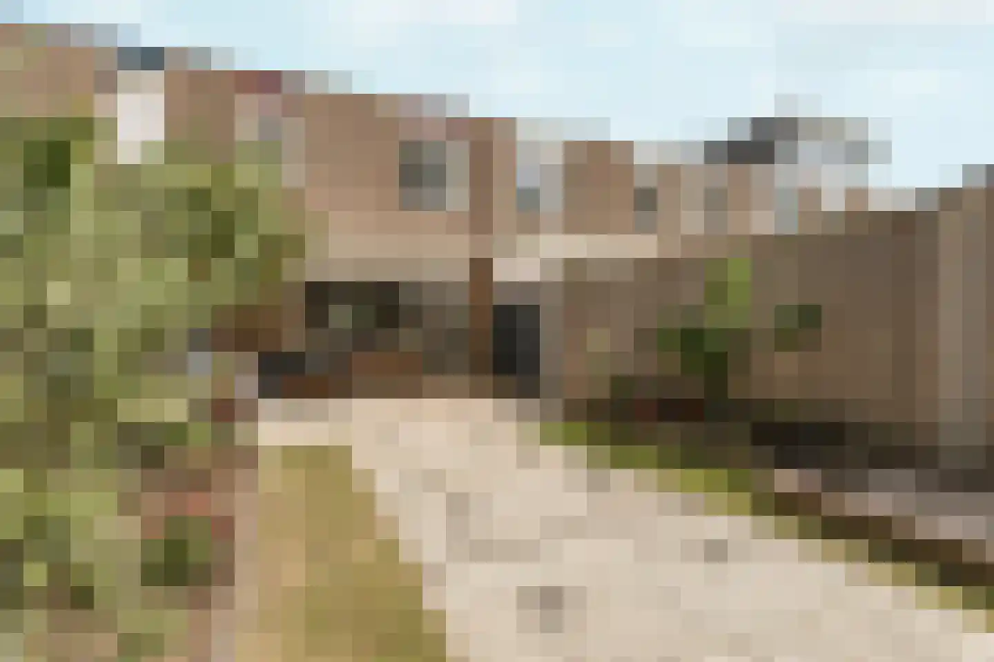 Kimwierde 37 Almere thumbnail 40
