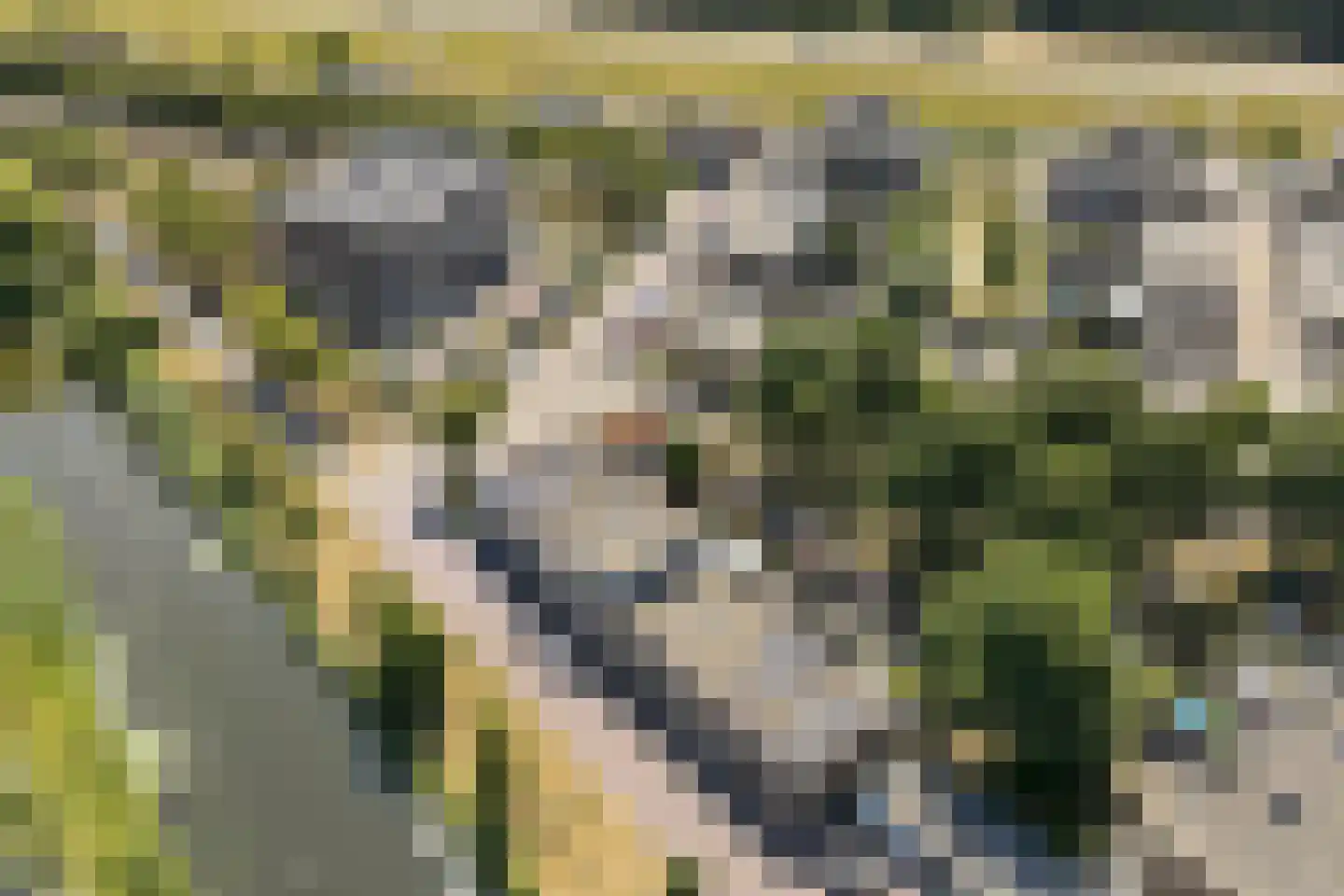 Kimwierde 37 Almere thumbnail 6