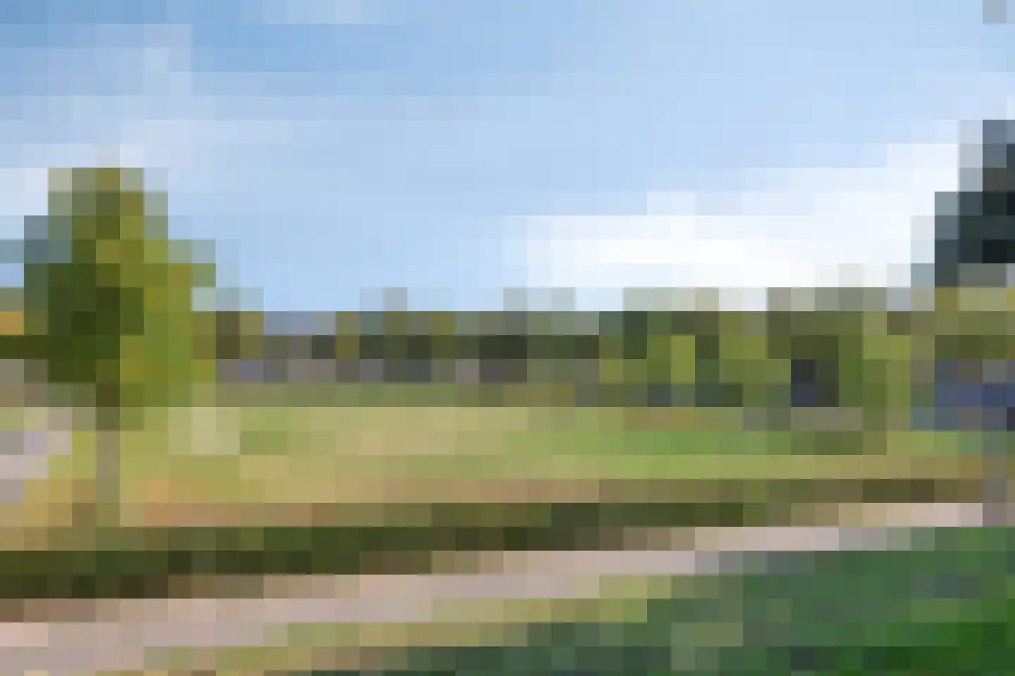 Kimwierde 422 Almere thumbnail 39