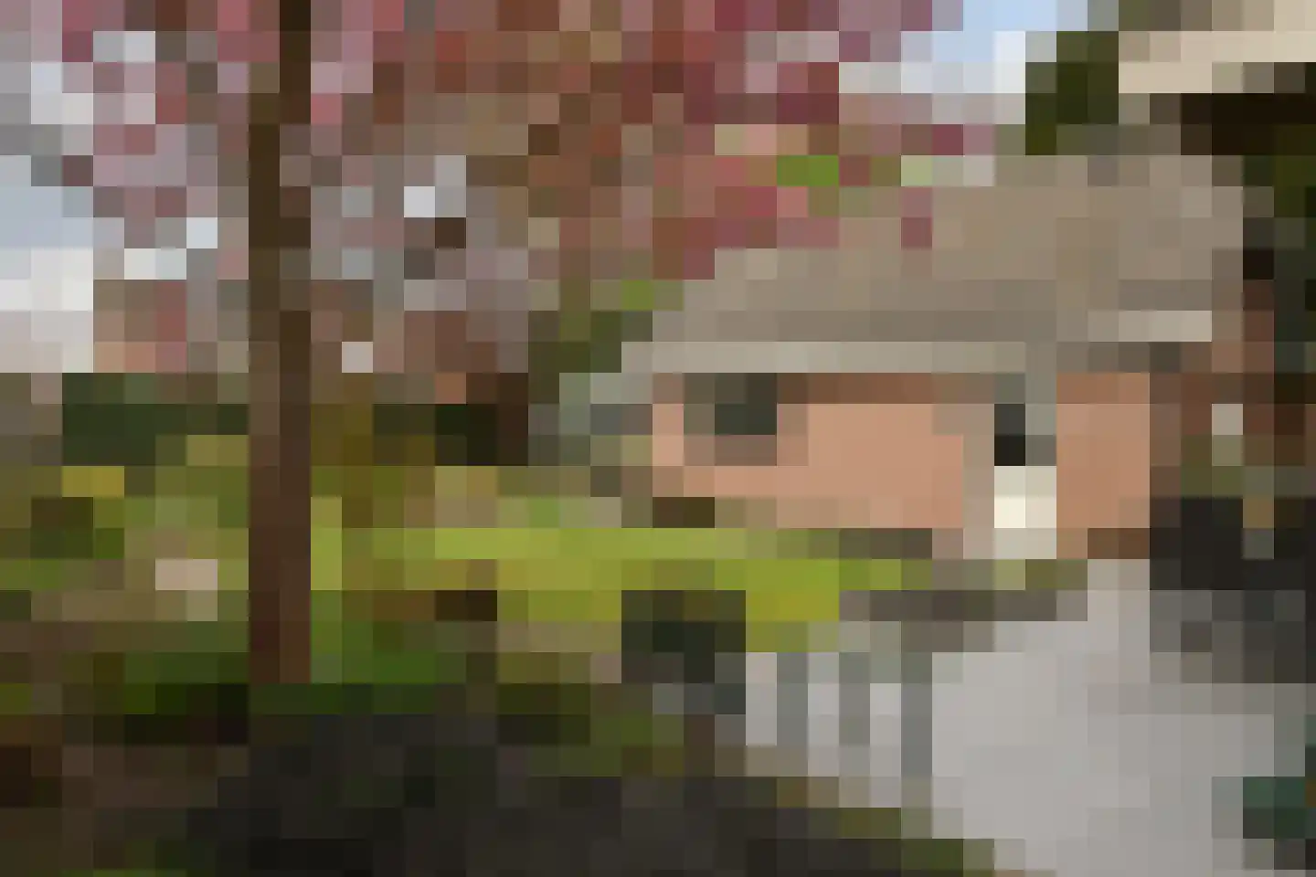 Kinderbaantje 27 Steenbergen thumbnail 26