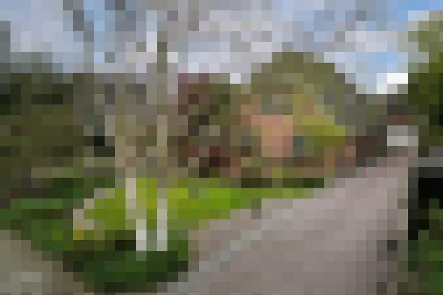 Kinderbaantje 27 Steenbergen thumbnail 30