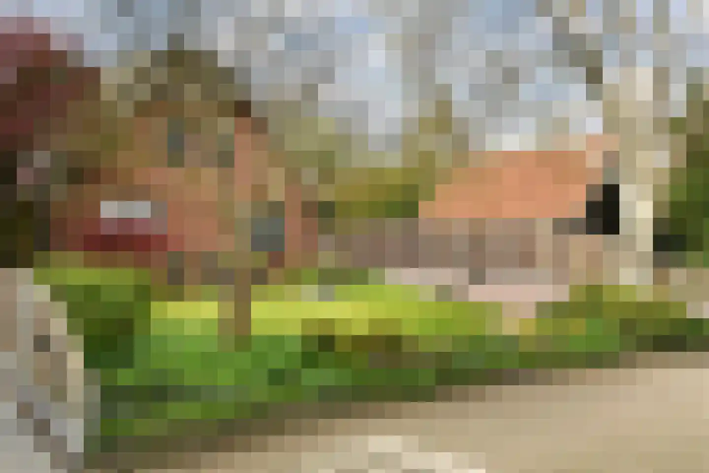 Kinderbaantje 27 Steenbergen thumbnail 31