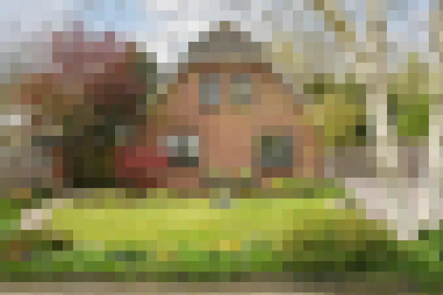 Kinderbaantje 27 Steenbergen thumbnail 33