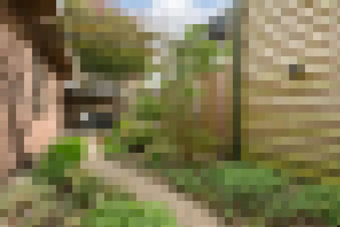 Kinderbaantje 27 Steenbergen thumbnail 34