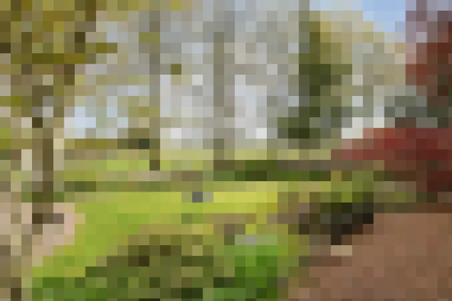 Kinderbaantje 27 Steenbergen thumbnail 36
