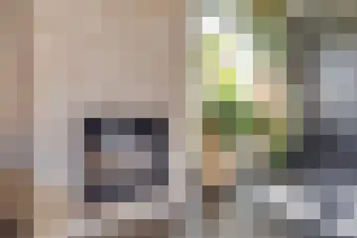 Kinderbaantje 9 Steenbergen thumbnail 11