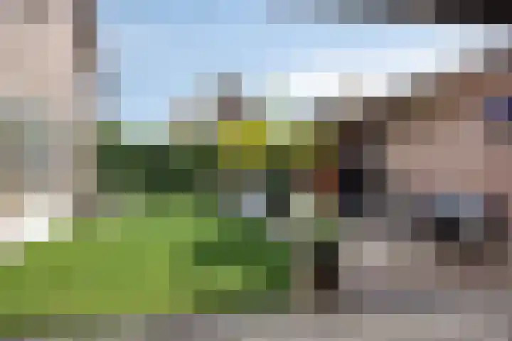 Kinderbaantje 9 Steenbergen thumbnail 38
