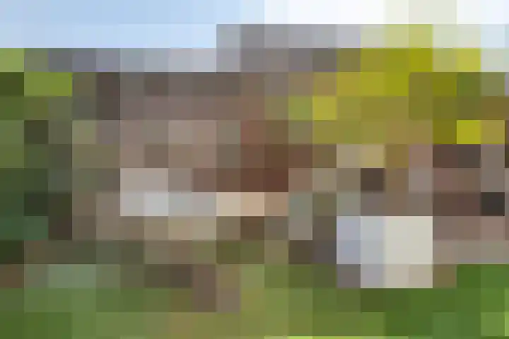 Kinderbaantje 9 Steenbergen thumbnail 40