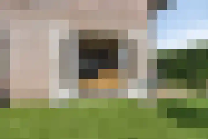 Kinderbaantje 9 Steenbergen thumbnail 43