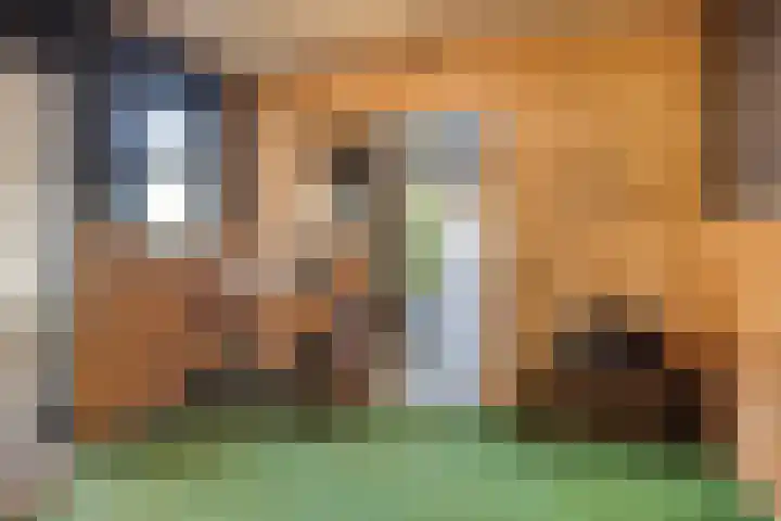 Kinderbaantje 9 Steenbergen thumbnail 45