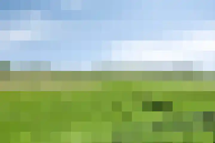 Kinderbaantje 9 Steenbergen thumbnail 50