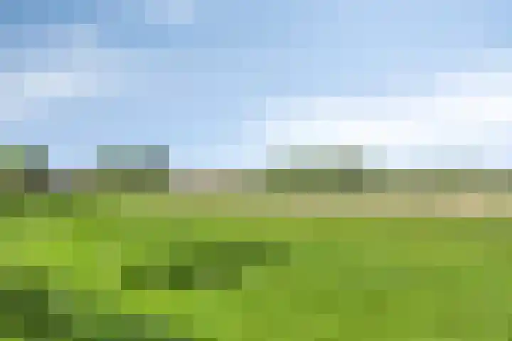 Kinderbaantje 9 Steenbergen thumbnail 51
