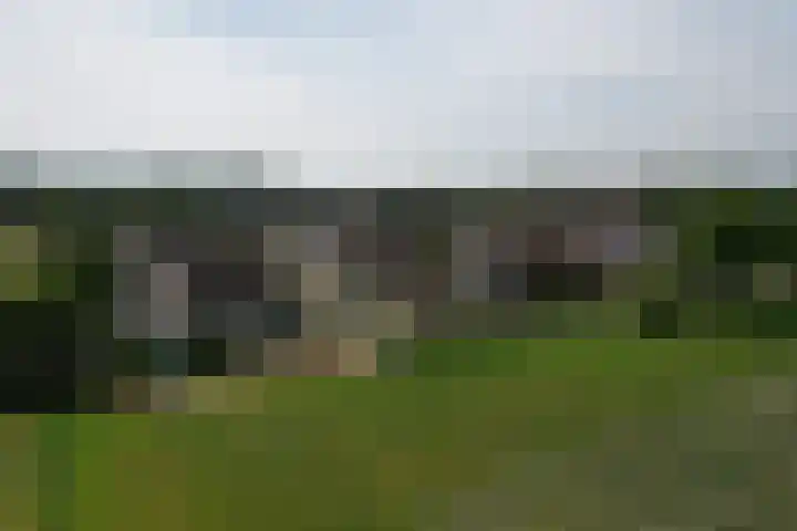 Kinderbaantje 9 Steenbergen thumbnail 52