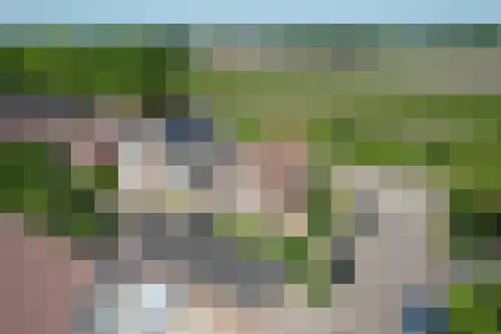 Kinderbaantje 9 Steenbergen thumbnail 53