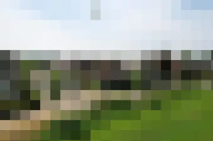 Kinderbaantje 9 Steenbergen thumbnail 57