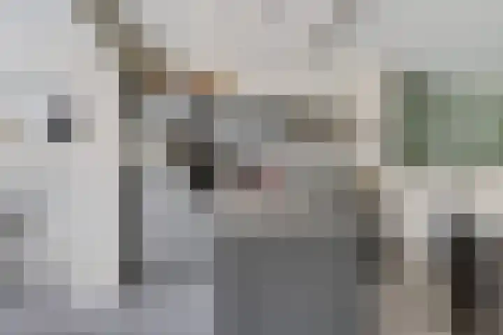 Kinderbalk 40 Hoorn thumbnail 10