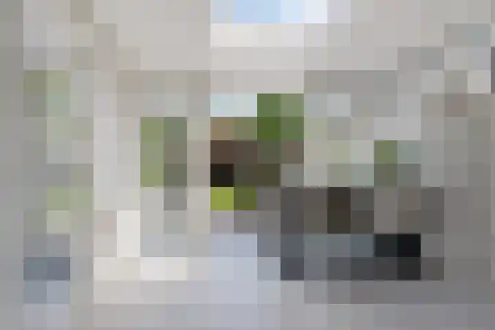Kinderbalk 40 Hoorn thumbnail 12