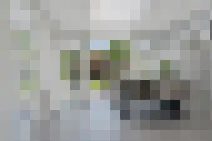 Kinderbalk 40 Hoorn thumbnail 13