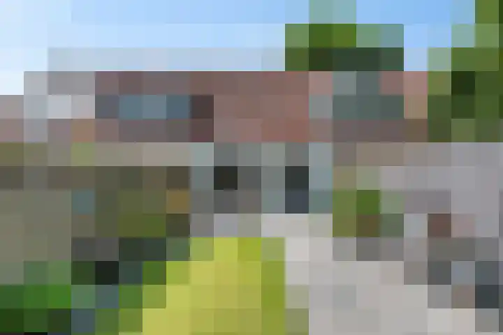Kinderbalk 40 Hoorn thumbnail 28