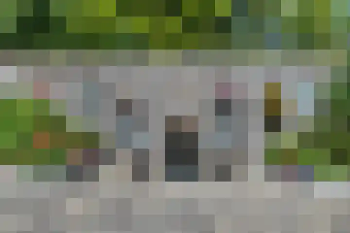 Kinderbalk 40 Hoorn thumbnail 30