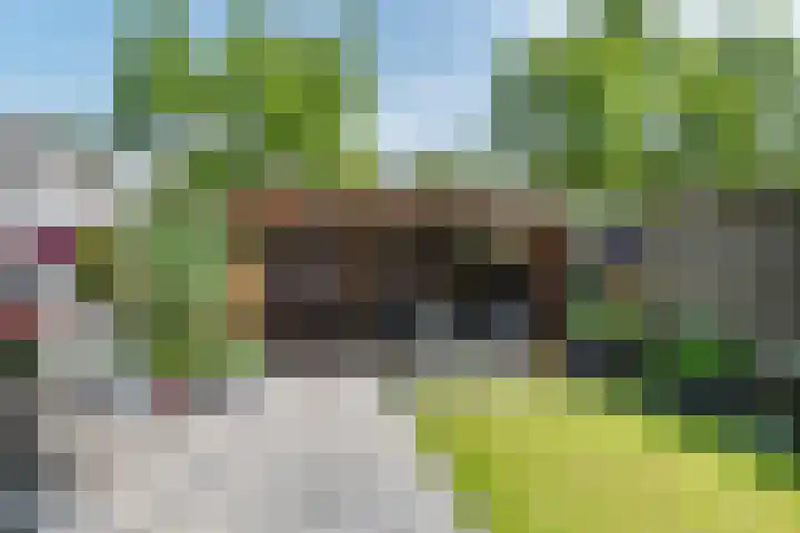 Kinderbalk 40 Hoorn thumbnail 31