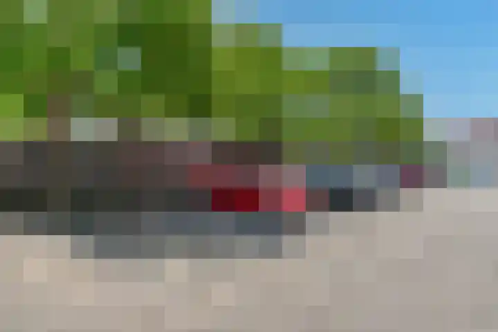 Kinderbalk 40 Hoorn thumbnail 37