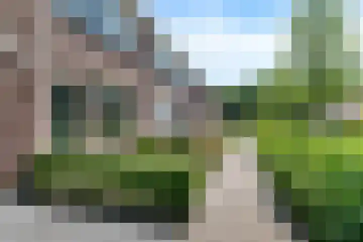 Kinderbalk 40 Hoorn thumbnail 38