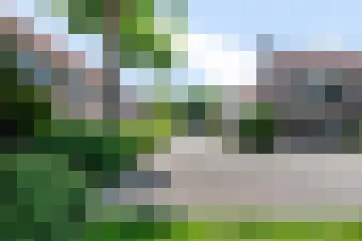 Kinderbalk 40 Hoorn thumbnail 39