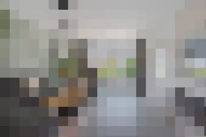 Kinderbalk 40 Hoorn thumbnail 4