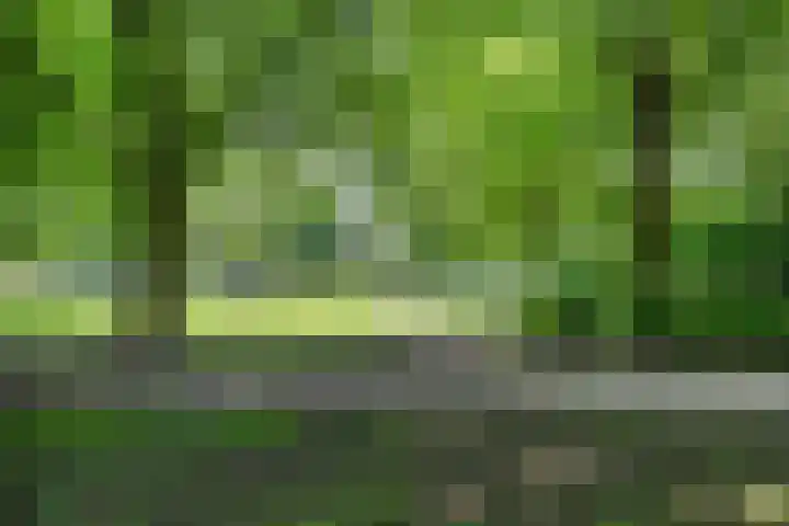 Kinderbalk 40 Hoorn thumbnail 40