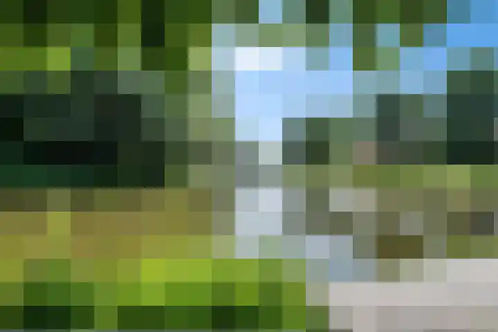 Kinderbalk 40 Hoorn thumbnail 41