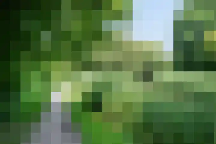 Kinderbalk 40 Hoorn thumbnail 42