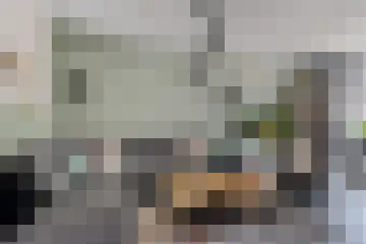 Kinderbalk 40 Hoorn thumbnail 5