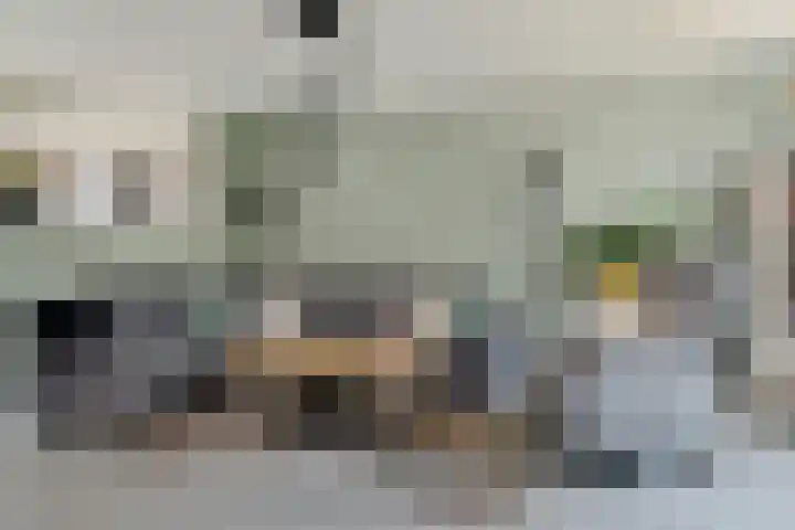 Kinderbalk 40 Hoorn thumbnail 6
